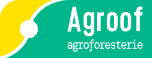 logo ecole 
