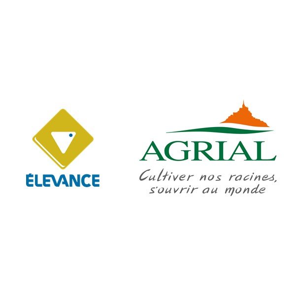 logo societe 