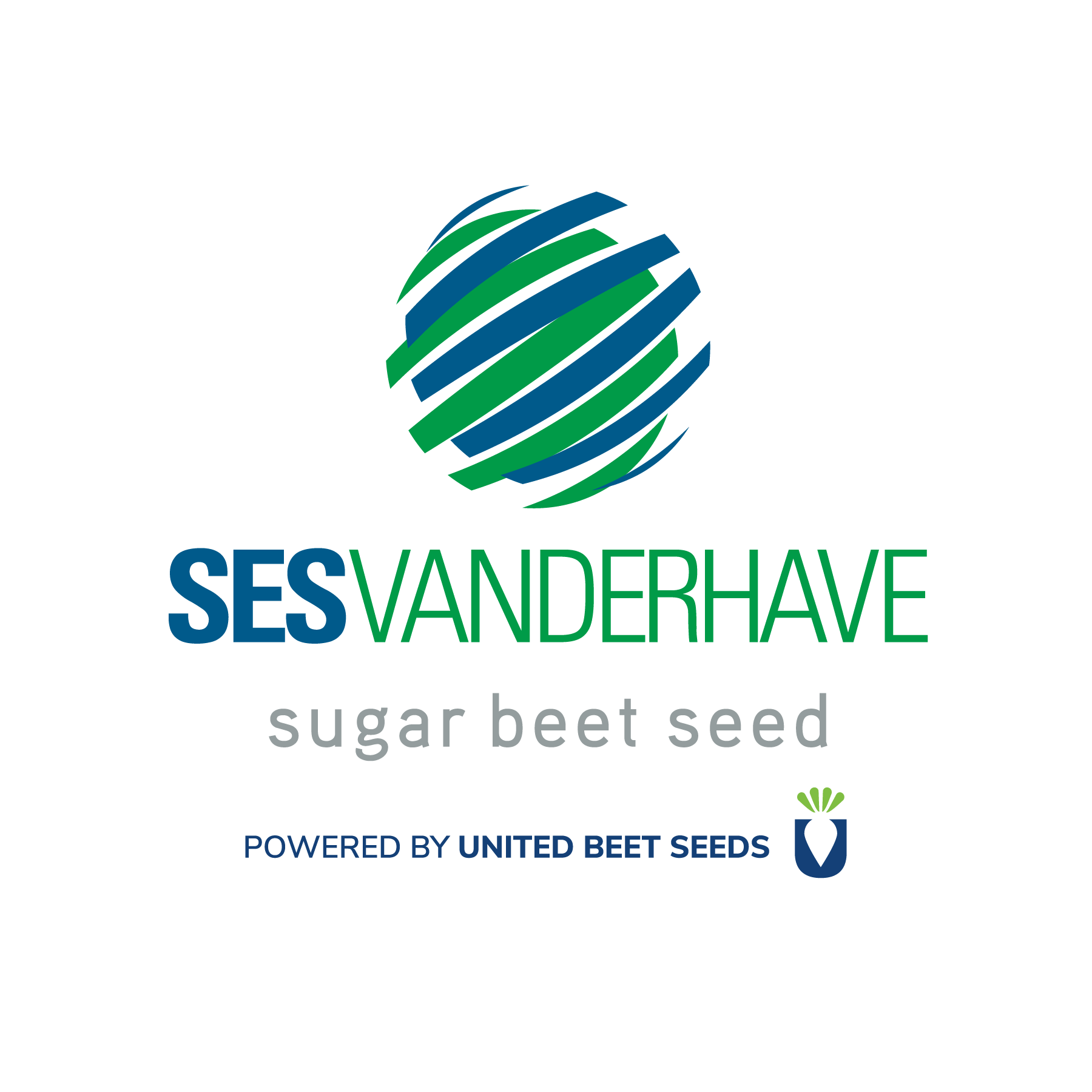 logo societe 