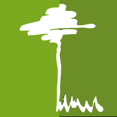 logo societe 