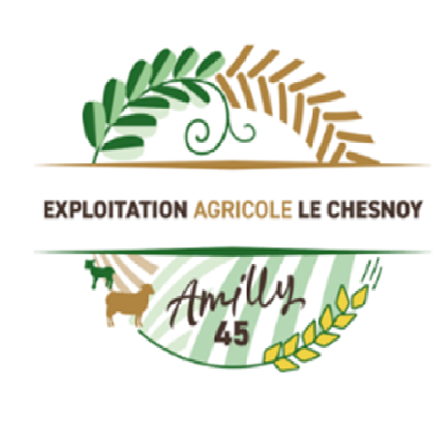 logo société 