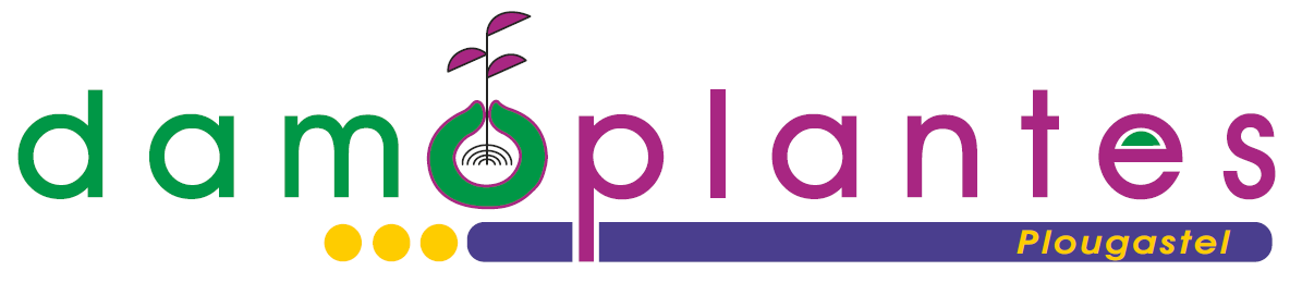 logo societe  