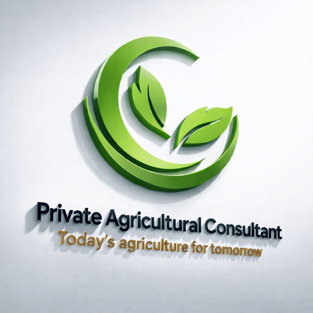 logo société 