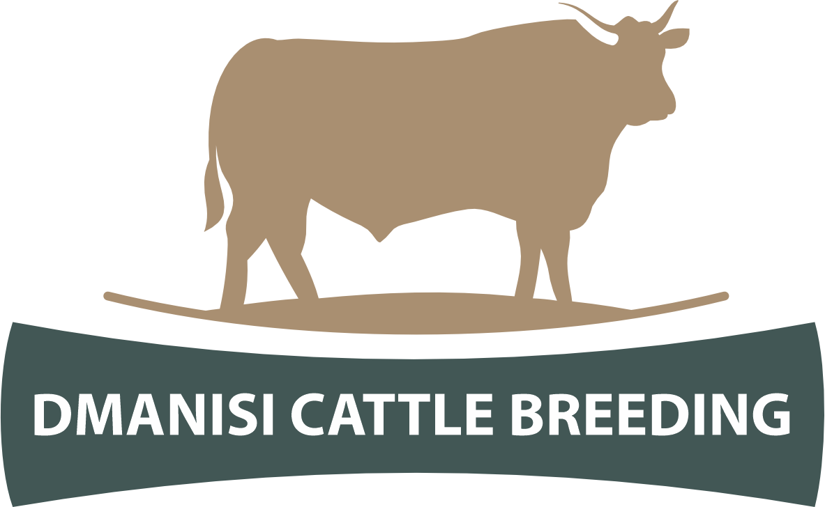 logo société 
