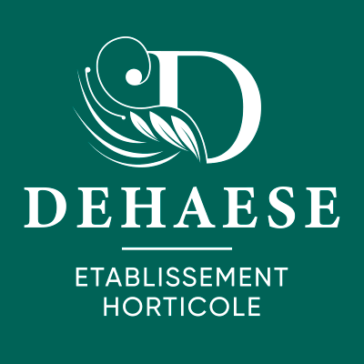logo societe 