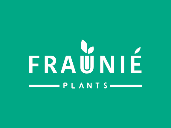 logo societe 