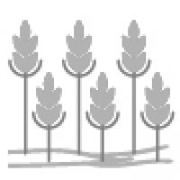 logo societe 